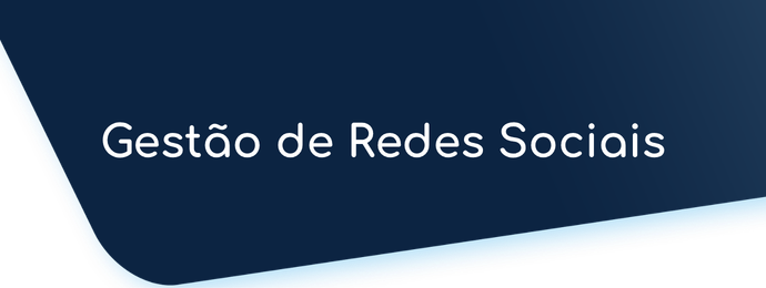 Arte de gestão de redes sociais da Agência igor Queiroz