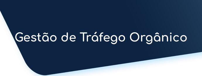 Arte de gestão de tráfego orgânico